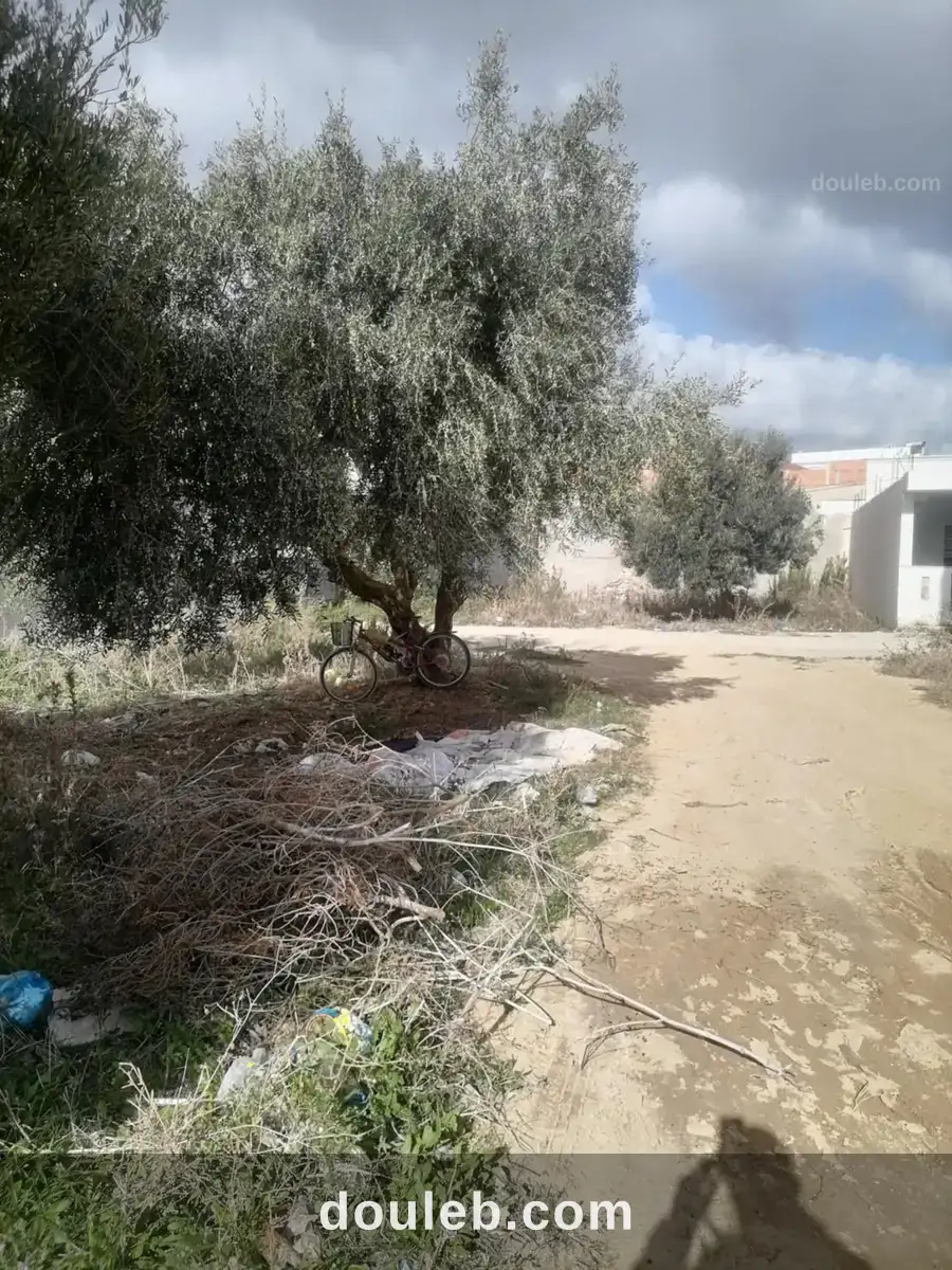 Terrain au centre ville - Miniature 5