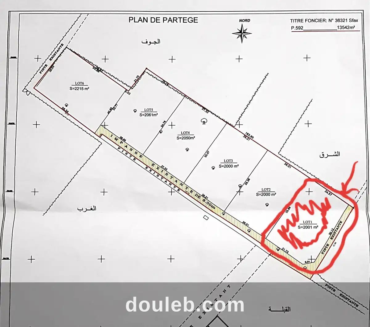 Terrain rectangulaire - Miniature 2