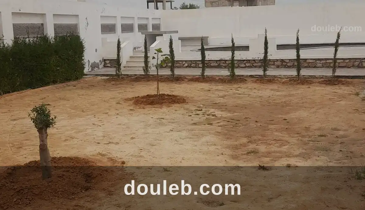 Particulier villa sidi mansour - Miniature 4