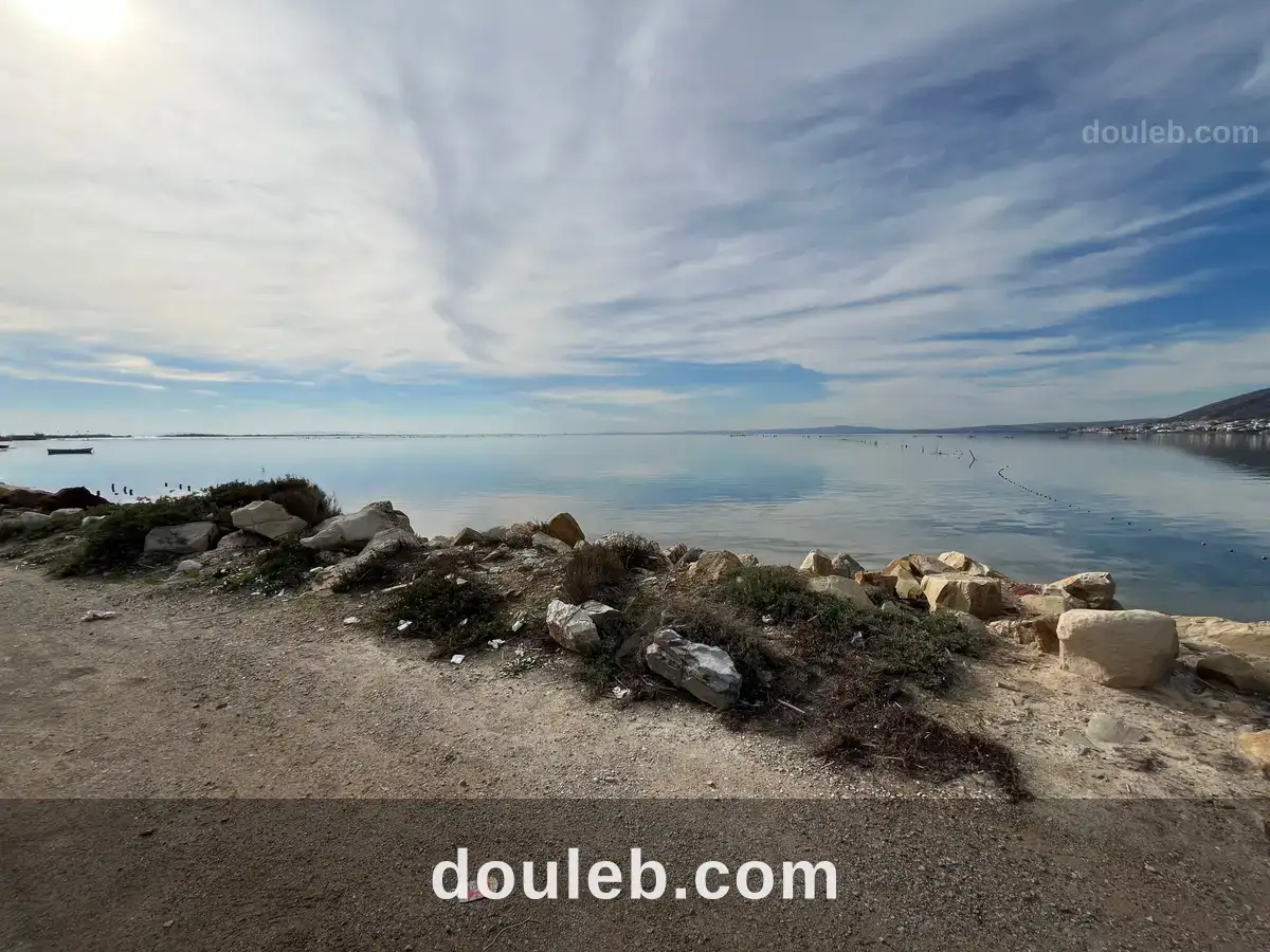 Terrain en bord de lagune - Miniature 3