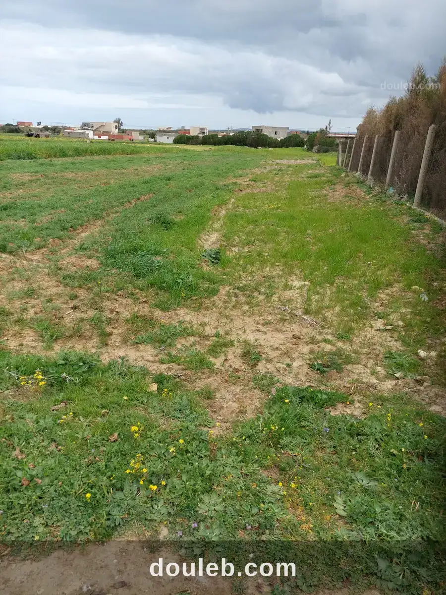 Terrain a bir el jedy à Tunis