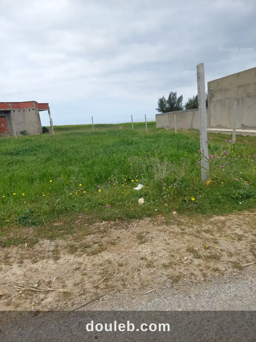 Terrain a bir el jedy - Miniature 2