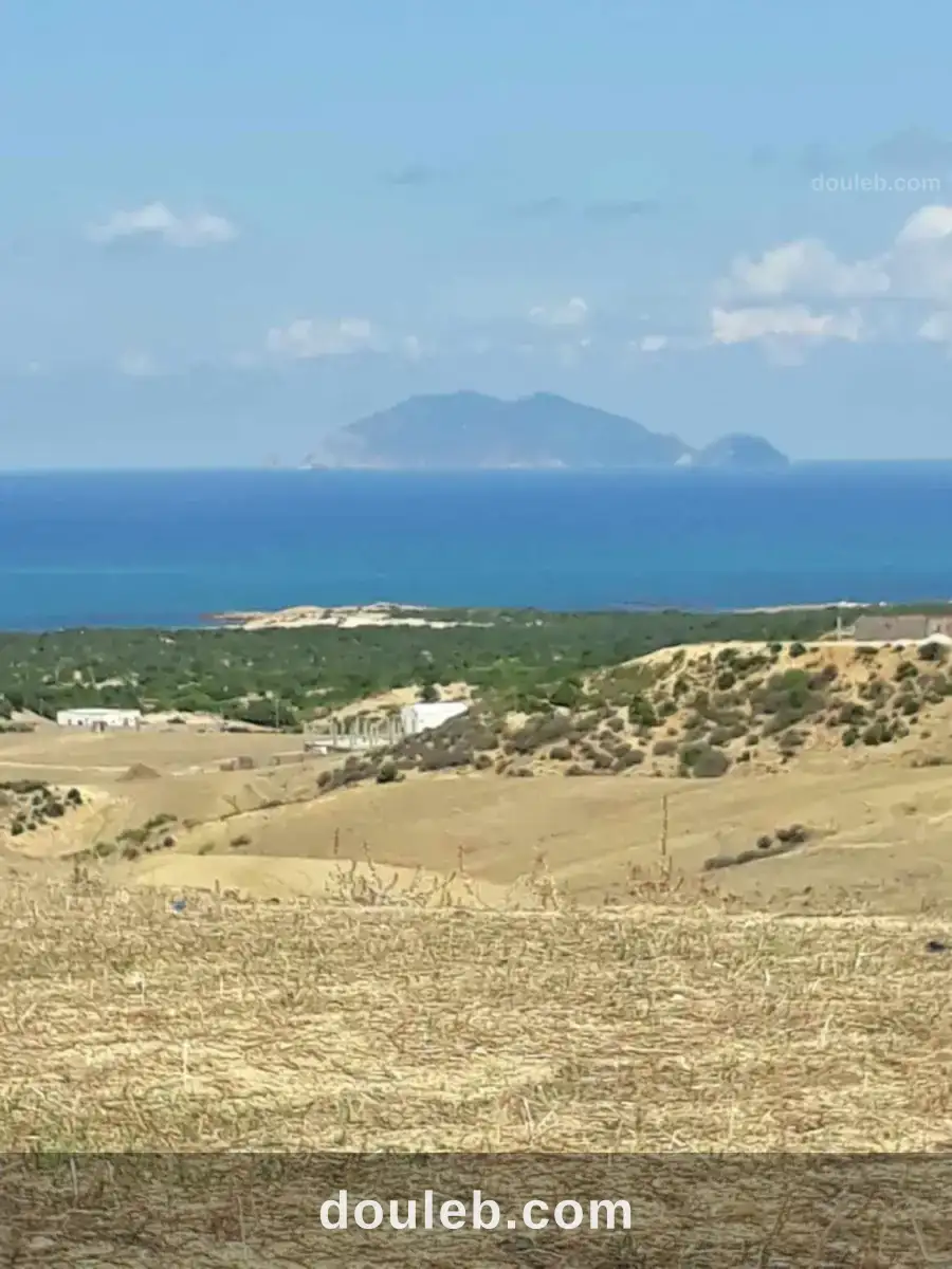 Terrain a bir el jedy - Miniature 4