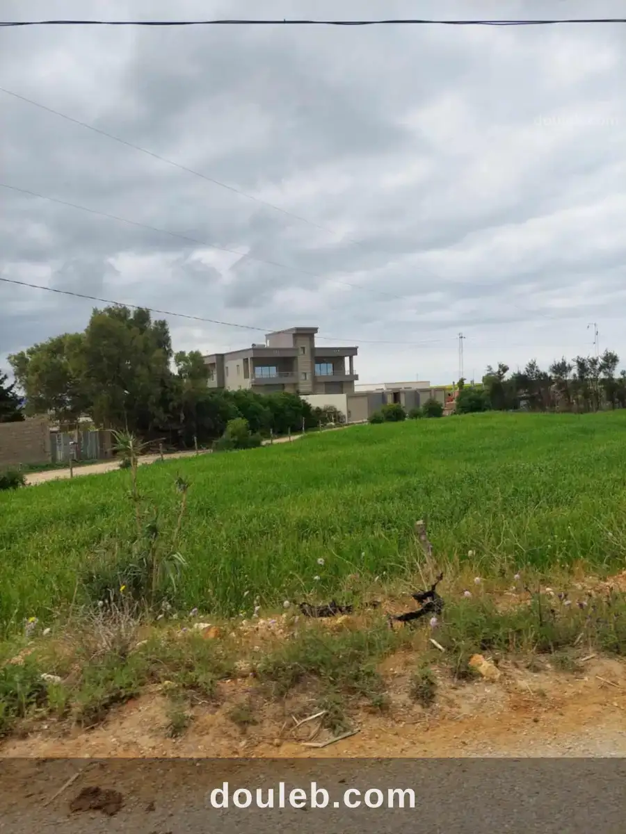 Terrain a bir el jedy - Miniature 5