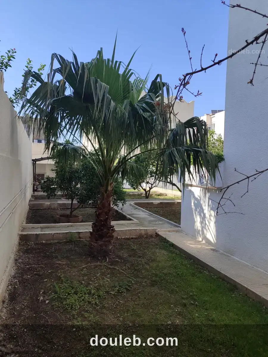 Superbe villa bon emplacement - Miniature 3