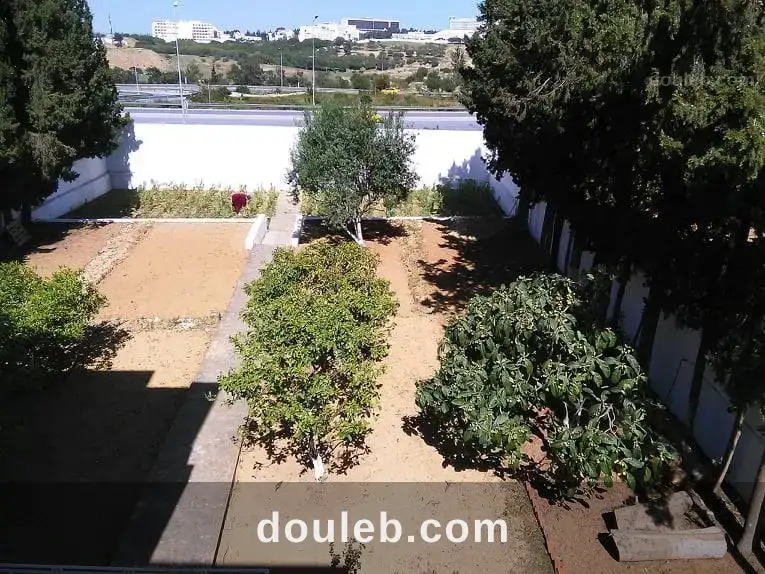 Grande villa residence casablanca - Miniature 5