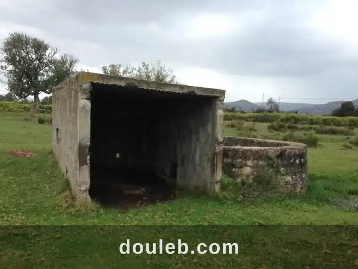 Terrain agricole tabarka à Tunis