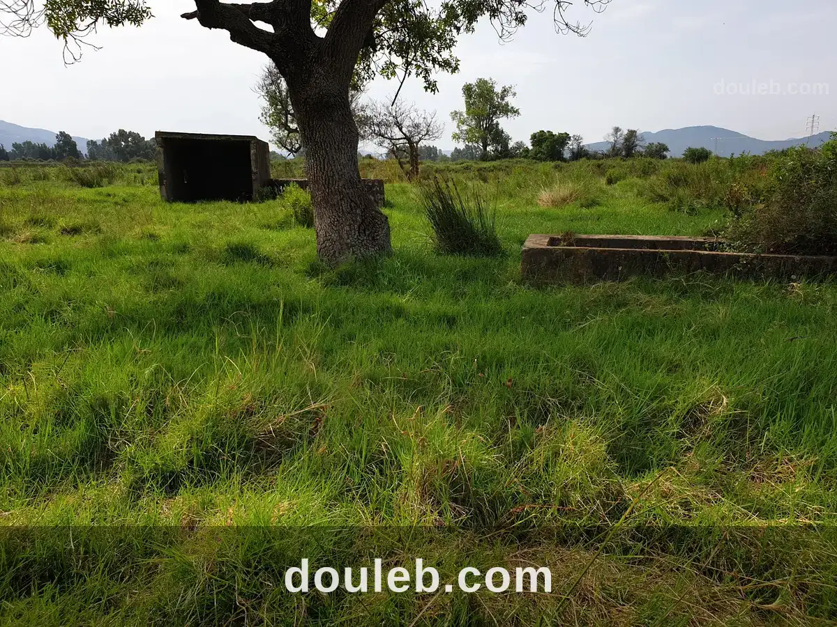 Terrain agricole tabarka - Miniature 2