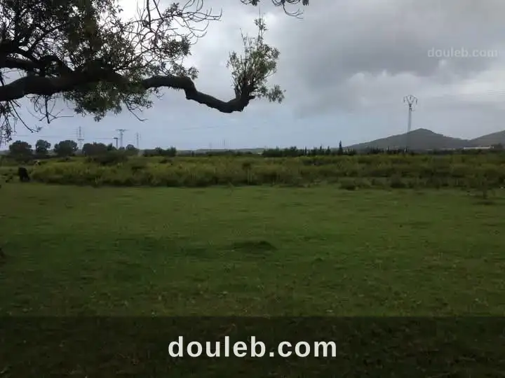 Terrain agricole tabarka - Miniature 3