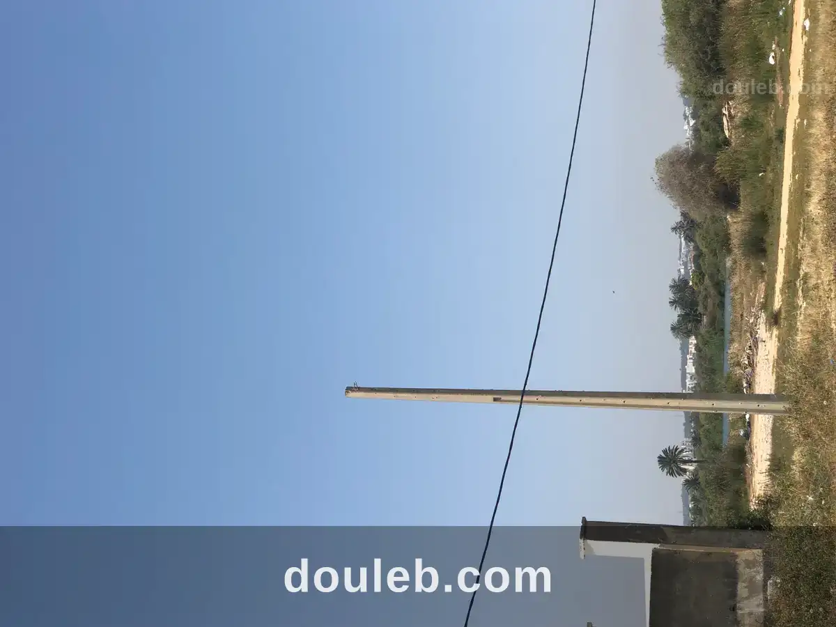 Terrain à ezzahra - Miniature 2