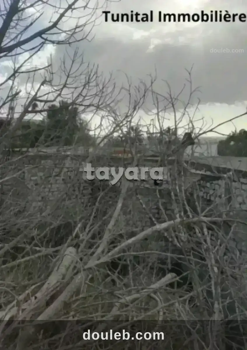 Terrain à gammarth supérieur à Tunis