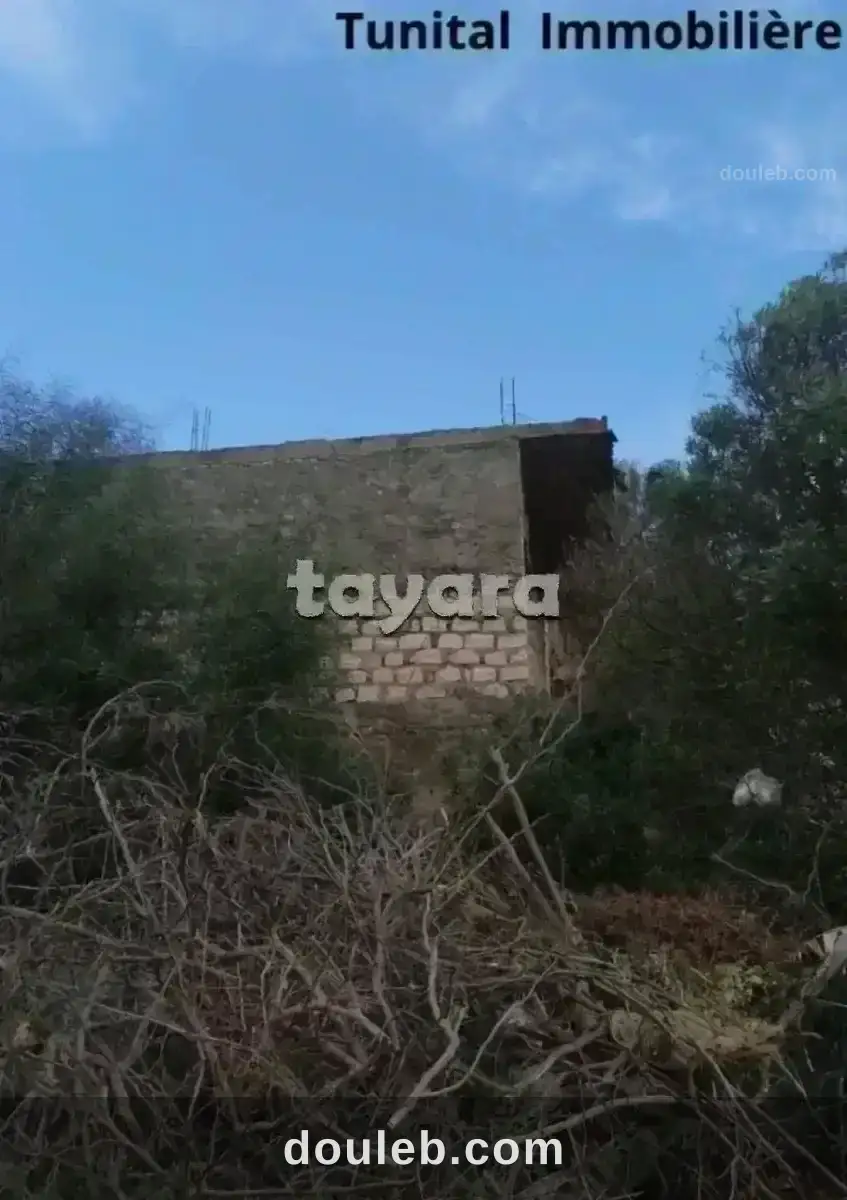 Terrain à gammarth supérieur - Miniature 2