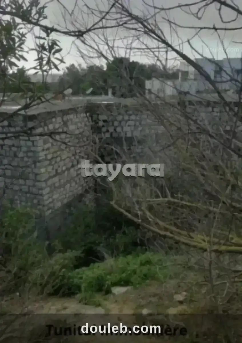 Terrain à gammarth supérieur - Miniature 3