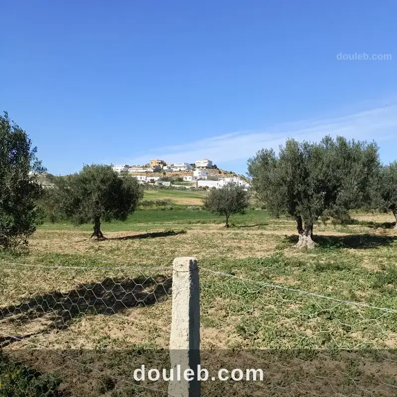 Av 1680m clôturé à hammamet - Miniature 3