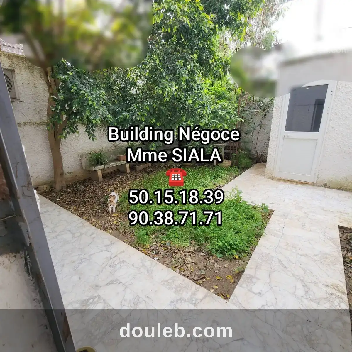 Menzah 6 triplex s4 avec jardin et sondage à Tunis