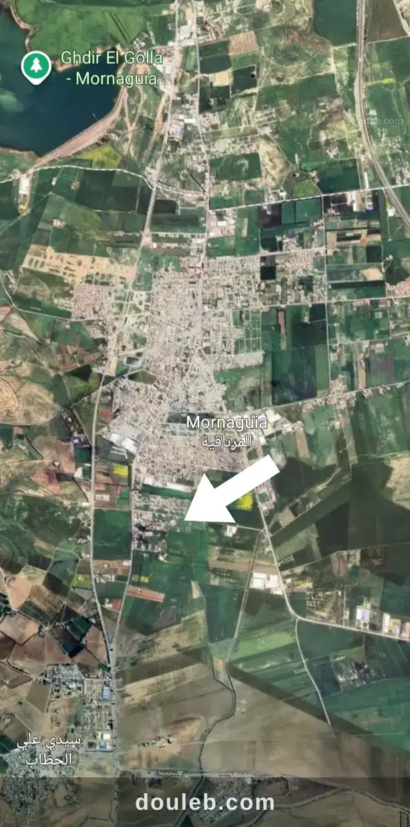 Terrains nus de 150 m2 et plus à Tunis