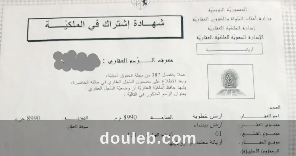 Bonne opportunité - Miniature 3