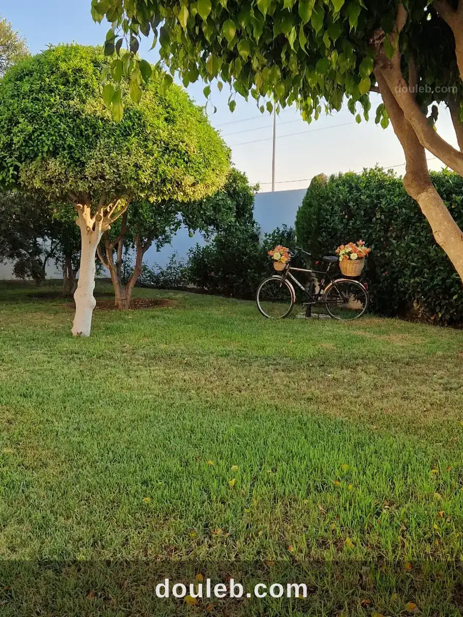 Belle villa meublée avec jardinet et vue mer - Miniature 4