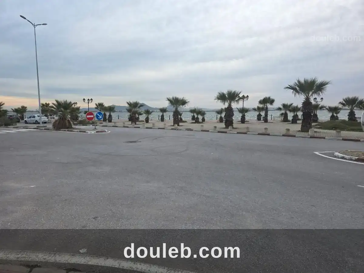 Magnifique terrain constructible r3 de 2000m lac 2 - Miniature 4