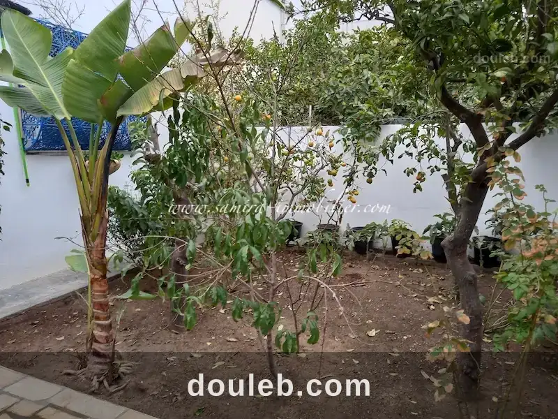 L235 maison de la fleur à Tunis