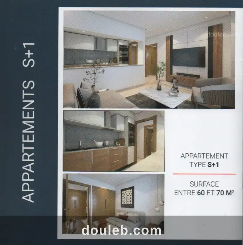 Hammamet vnt appts s1 et s2 à Tunis