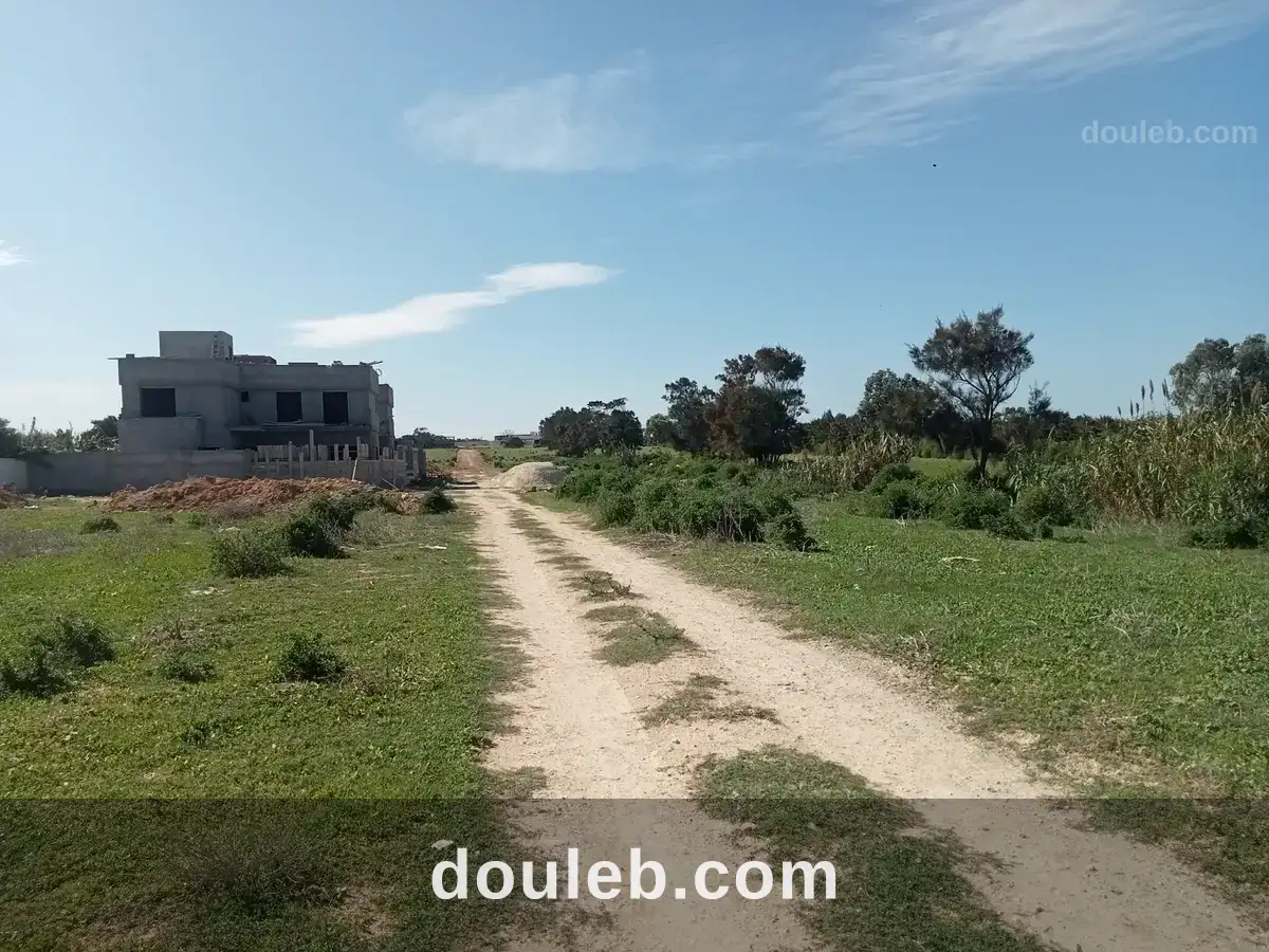 Des terrains pieds dans l'eau - Miniature 2