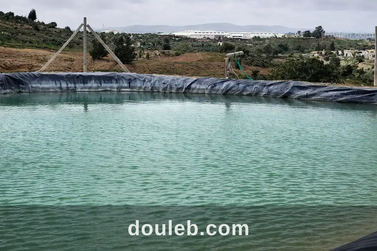 Opportunité 35 hectars à zaghouen - Miniature 3