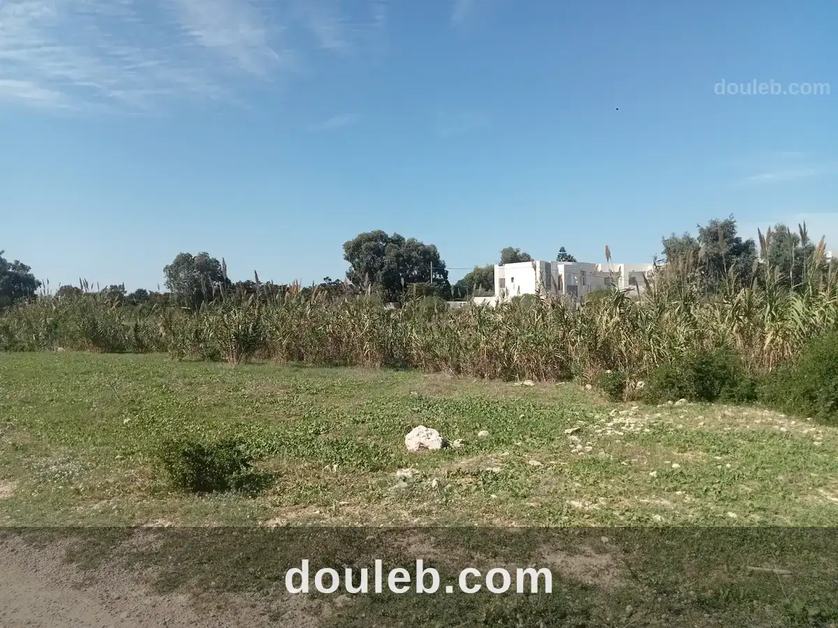 Des terrains pieds dans l'eau - Miniature 3