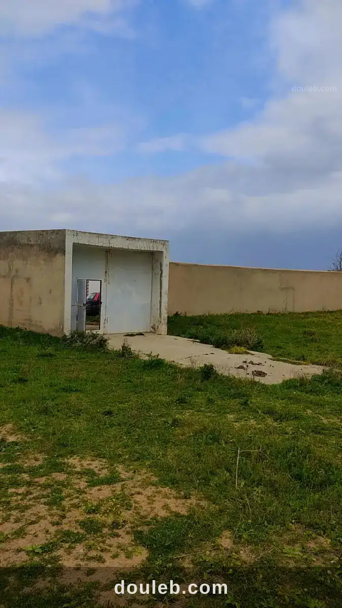 8200 m2 a hammam jdidi hammamet - Miniature 5