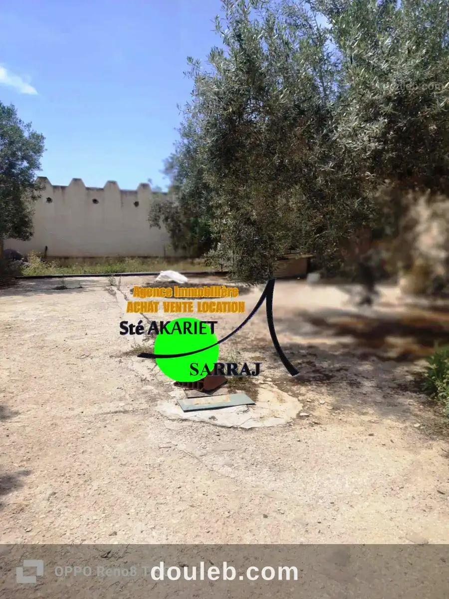 Senia clôturé 12000m à kalaa kbira chiab - Miniature 5