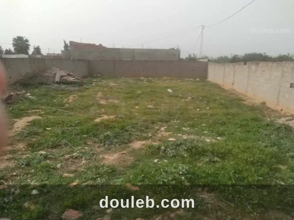 Bonne occasion - Miniature 2