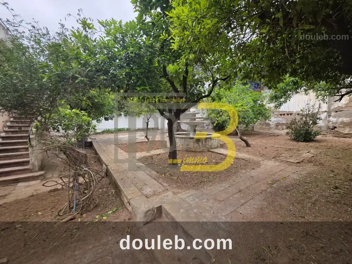 Villa à fort potentiel à france ville - Miniature 2