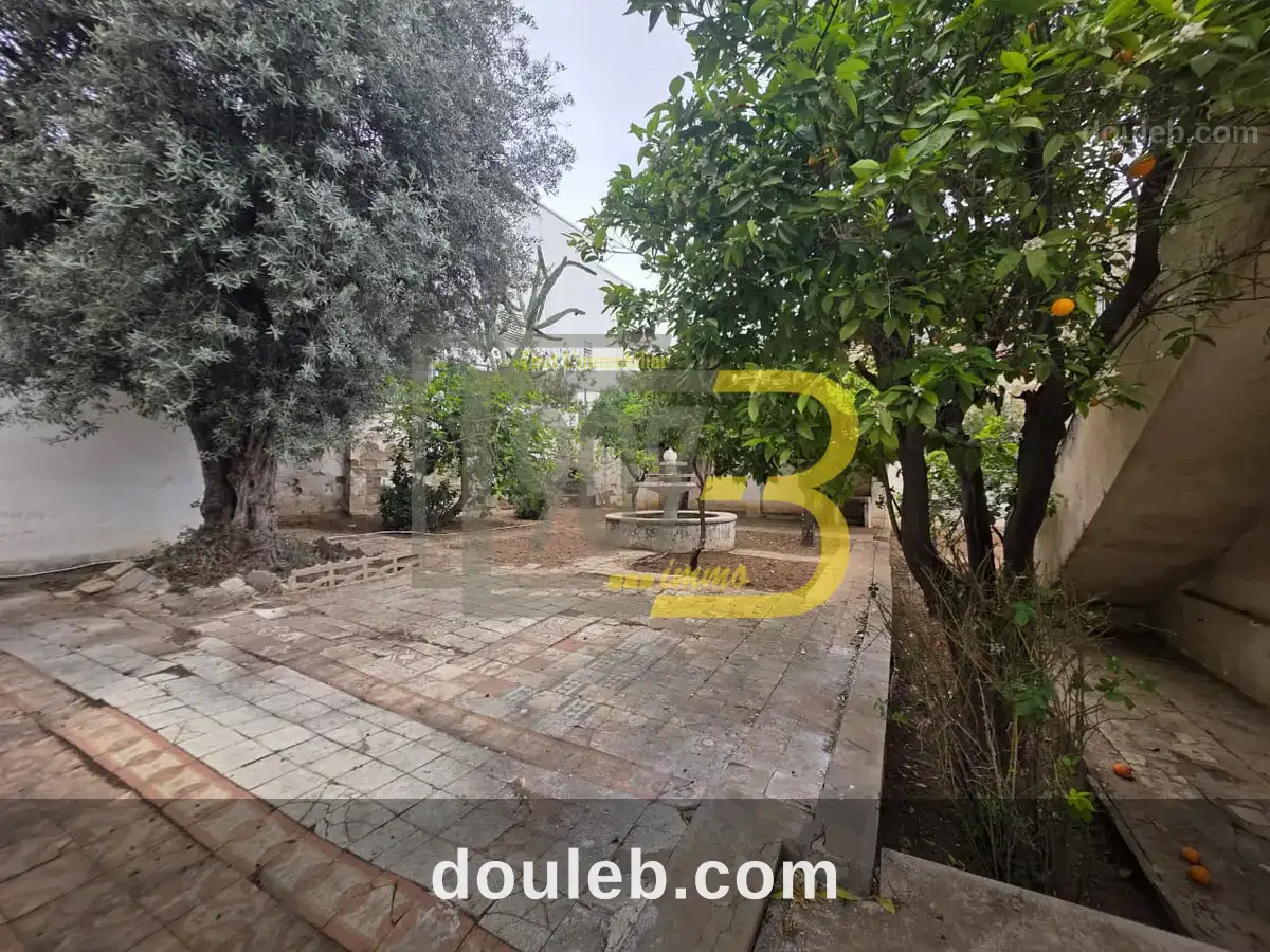 Villa à fort potentiel à france ville - Miniature 4