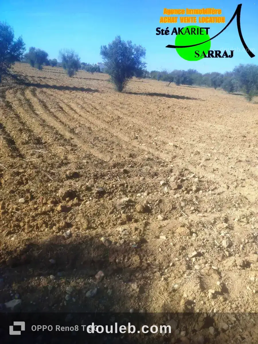 Terrain 28615m à kalaa kebira vers kondar - Miniature 3