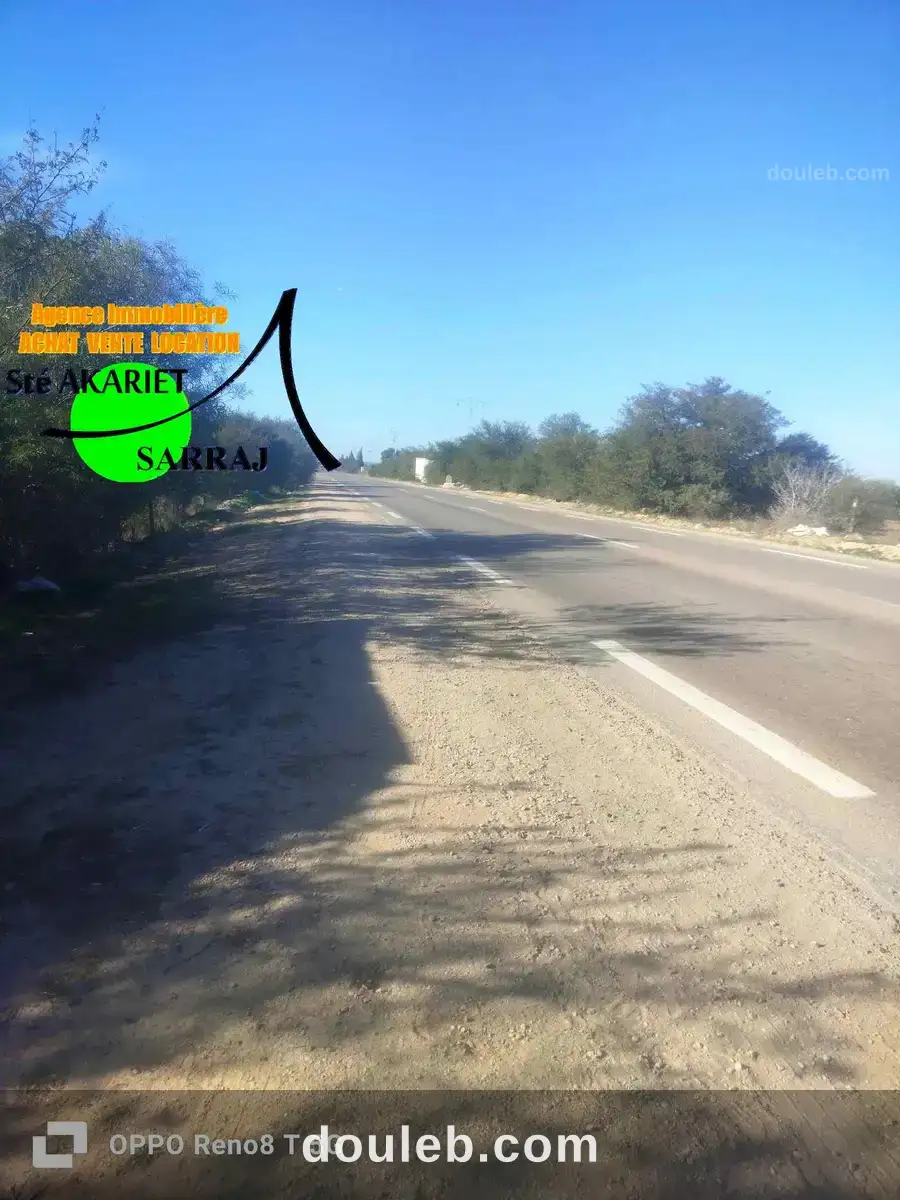 Terrain 28615m à kalaa kebira vers kondar - Miniature 4