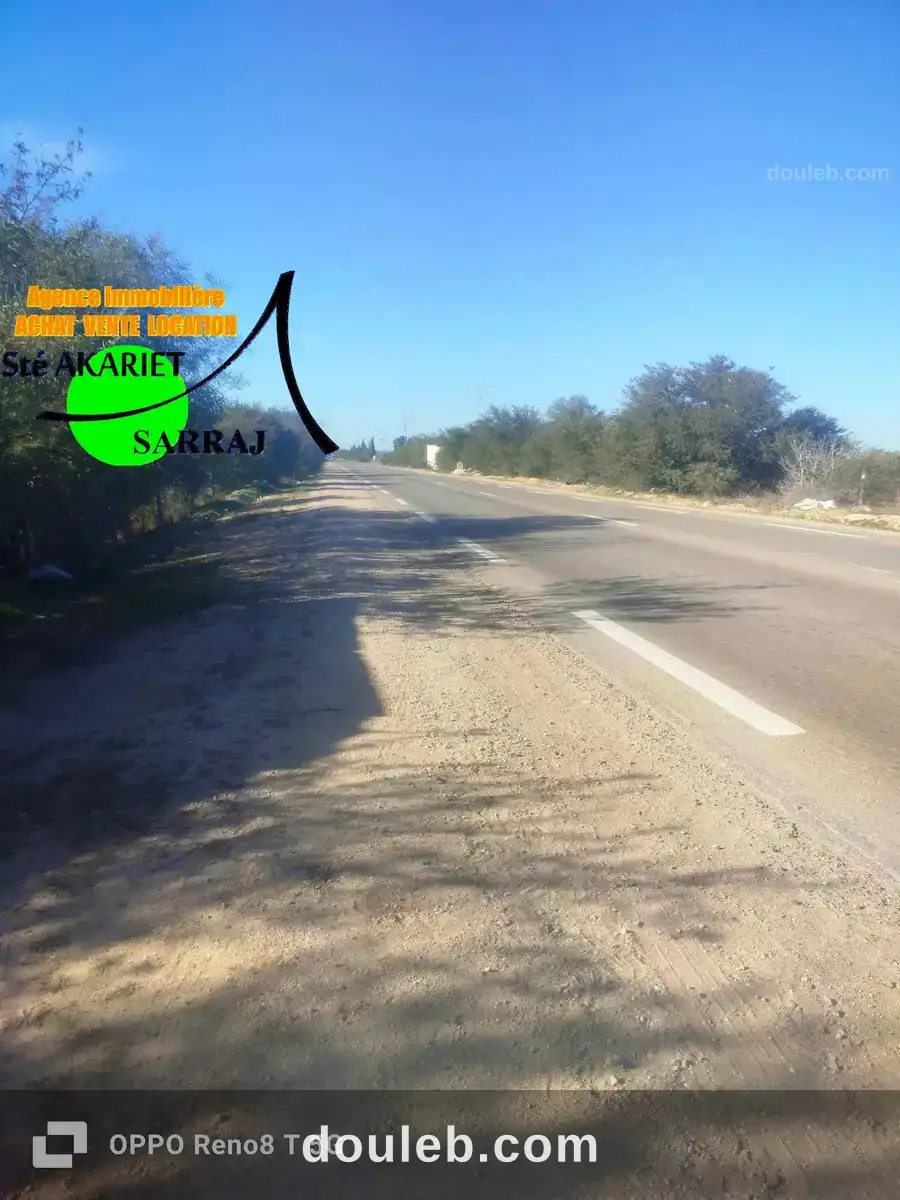 Terrain 28615m à kalaa kebira vers kondar - Miniature 5