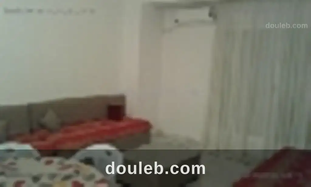 Loue appt meublé s1 à sakanès - Miniature 4