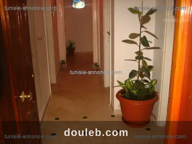 Luxueux 3 chambres et un salon - Photo 1