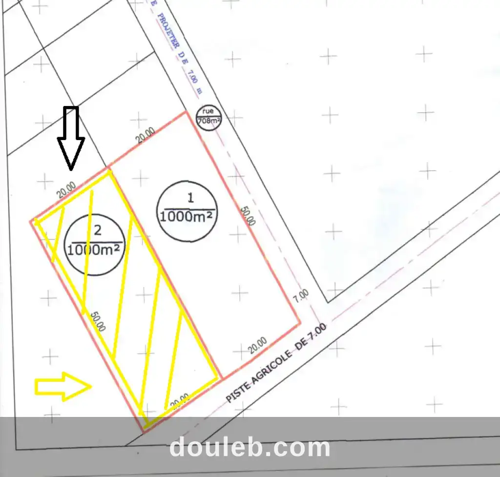 Terrain agricole titré 100 m2 - Miniature 2