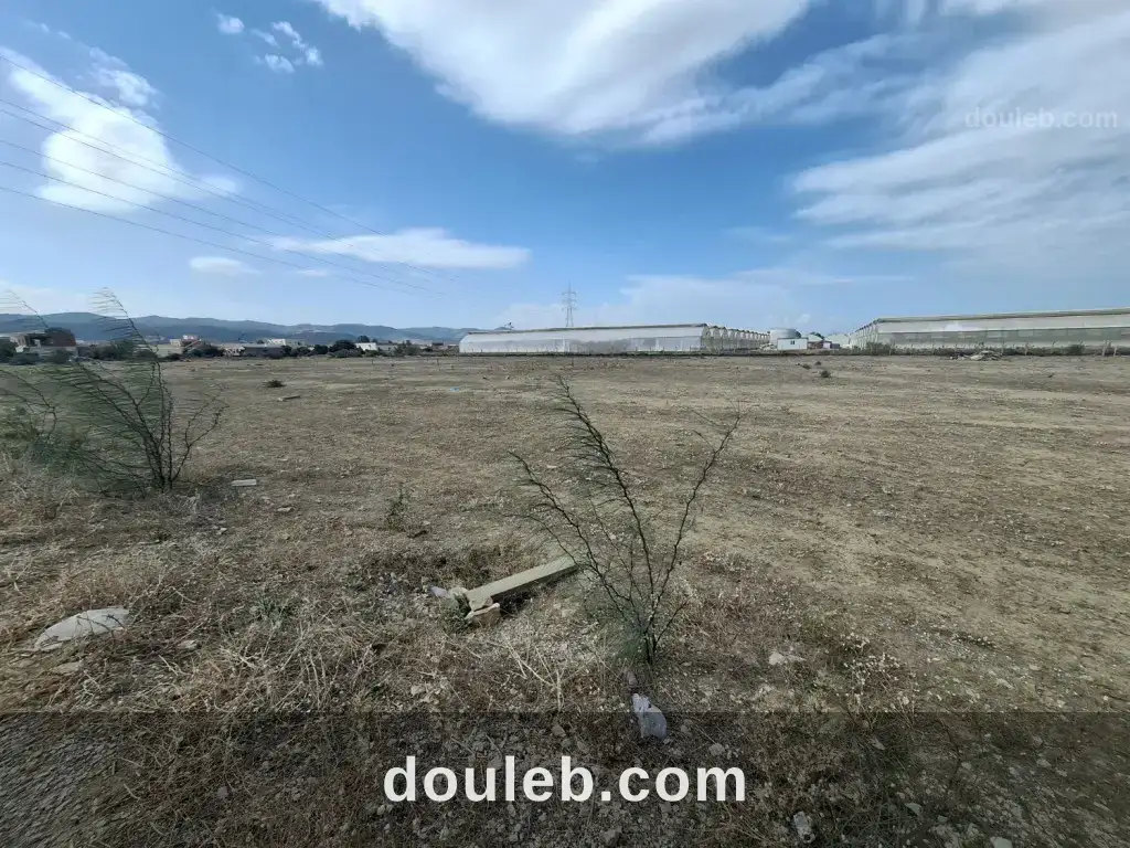 Terrain agricole titré 100 m2 - Miniature 3