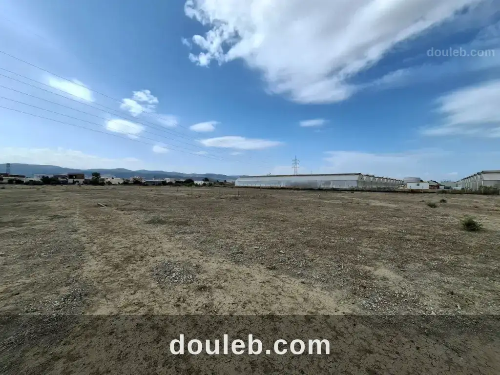 Terrain agricole titré 100 m2 - Miniature 4