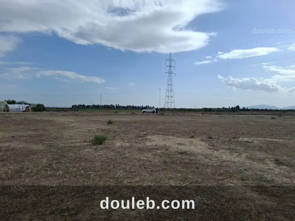 Terrain agricole titré 100 m2 - Miniature 5