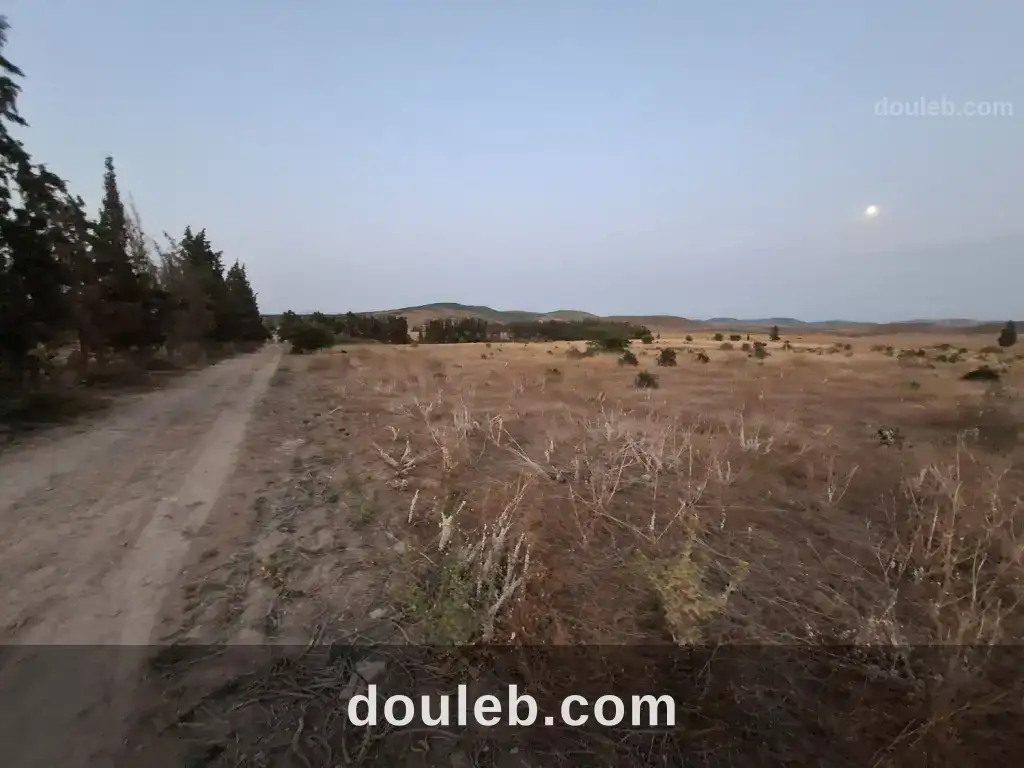 Terrain agricole 2 ha à mornag - Miniature 2