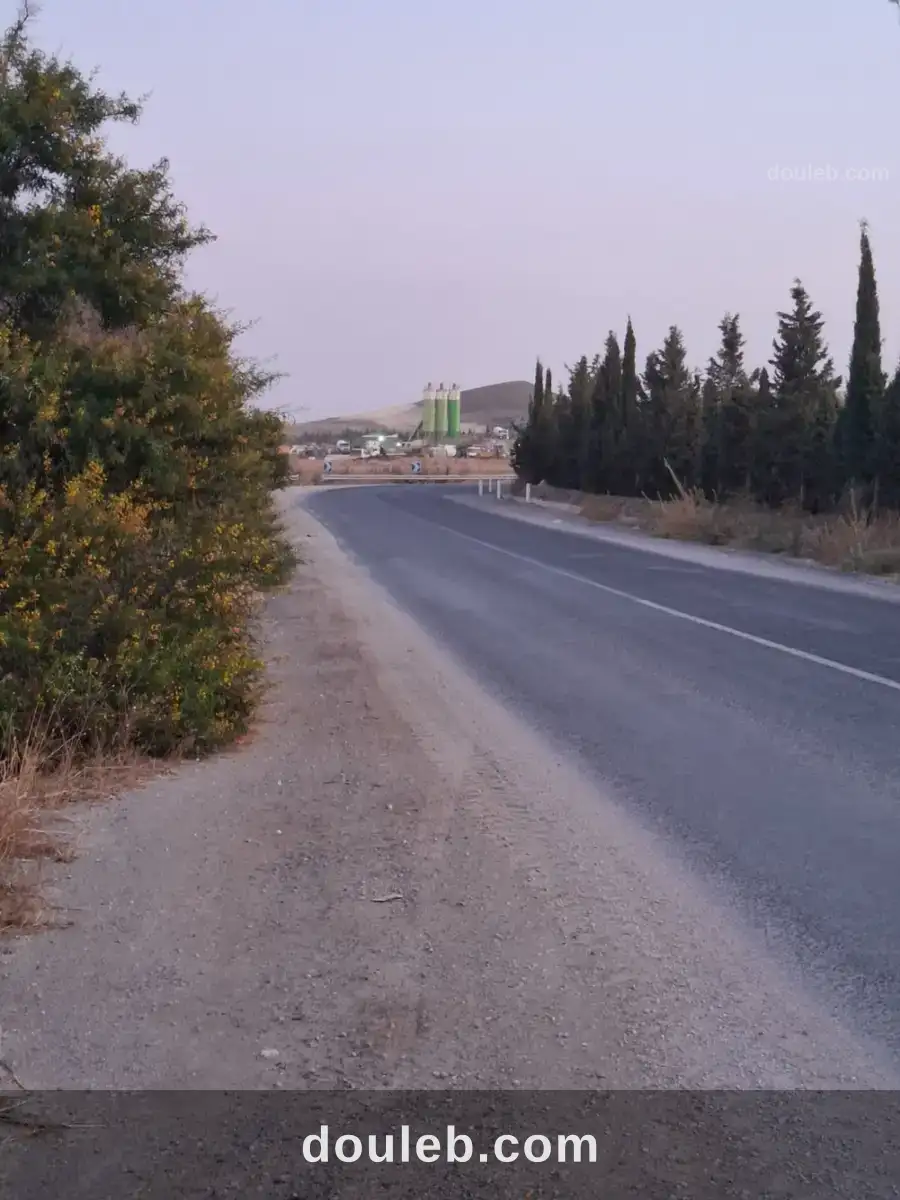 Terrain agricole 2 ha à mornag - Miniature 3