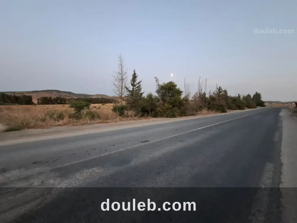 Terrain agricole 2 ha à mornag - Miniature 4