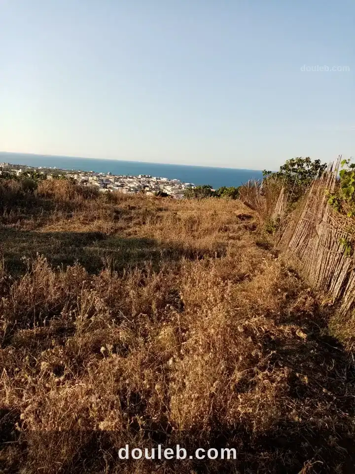 Terain de 3120 m2 a rafraf plage l'ahmeri - Miniature 2