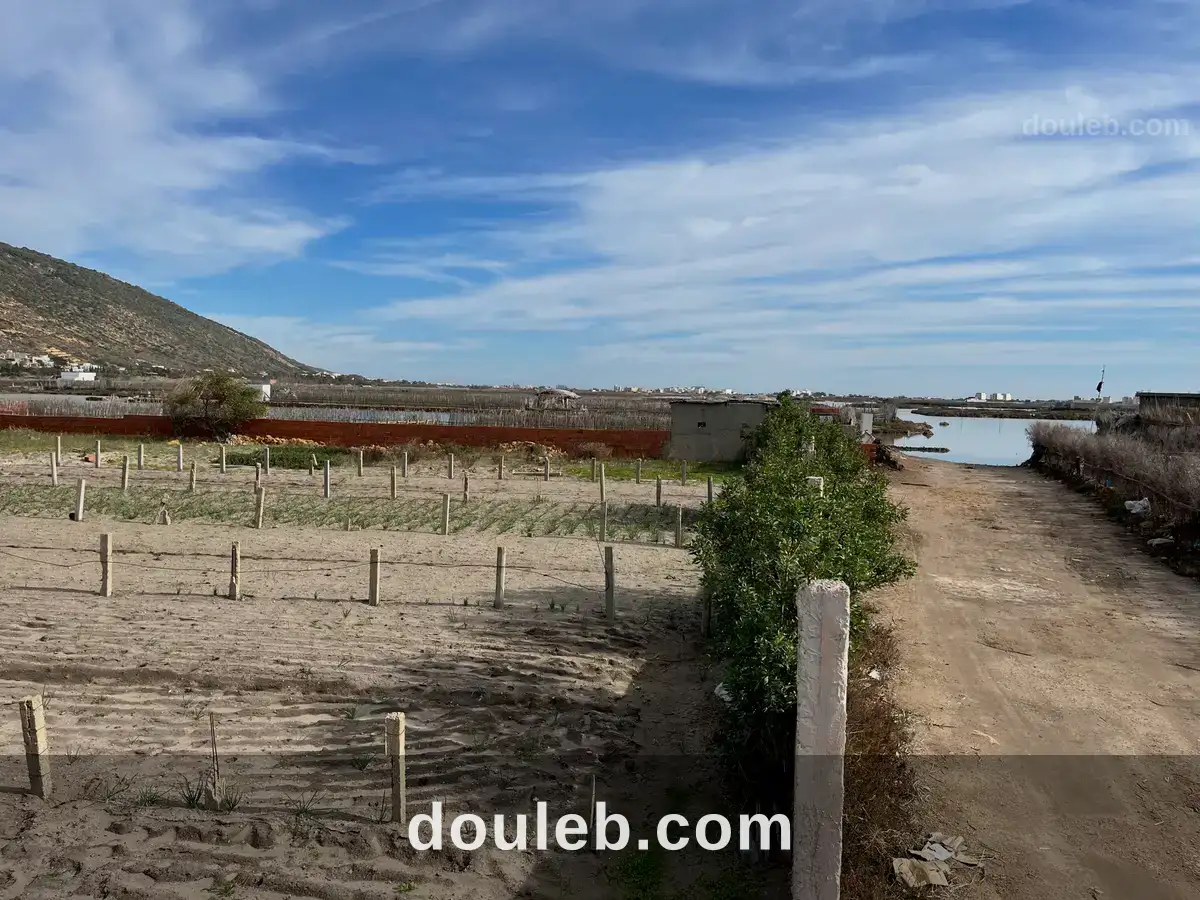 Dans la lagune de ghar el meleh - Miniature 2