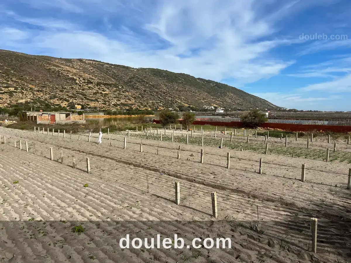 Dans la lagune de ghar el meleh - Miniature 3