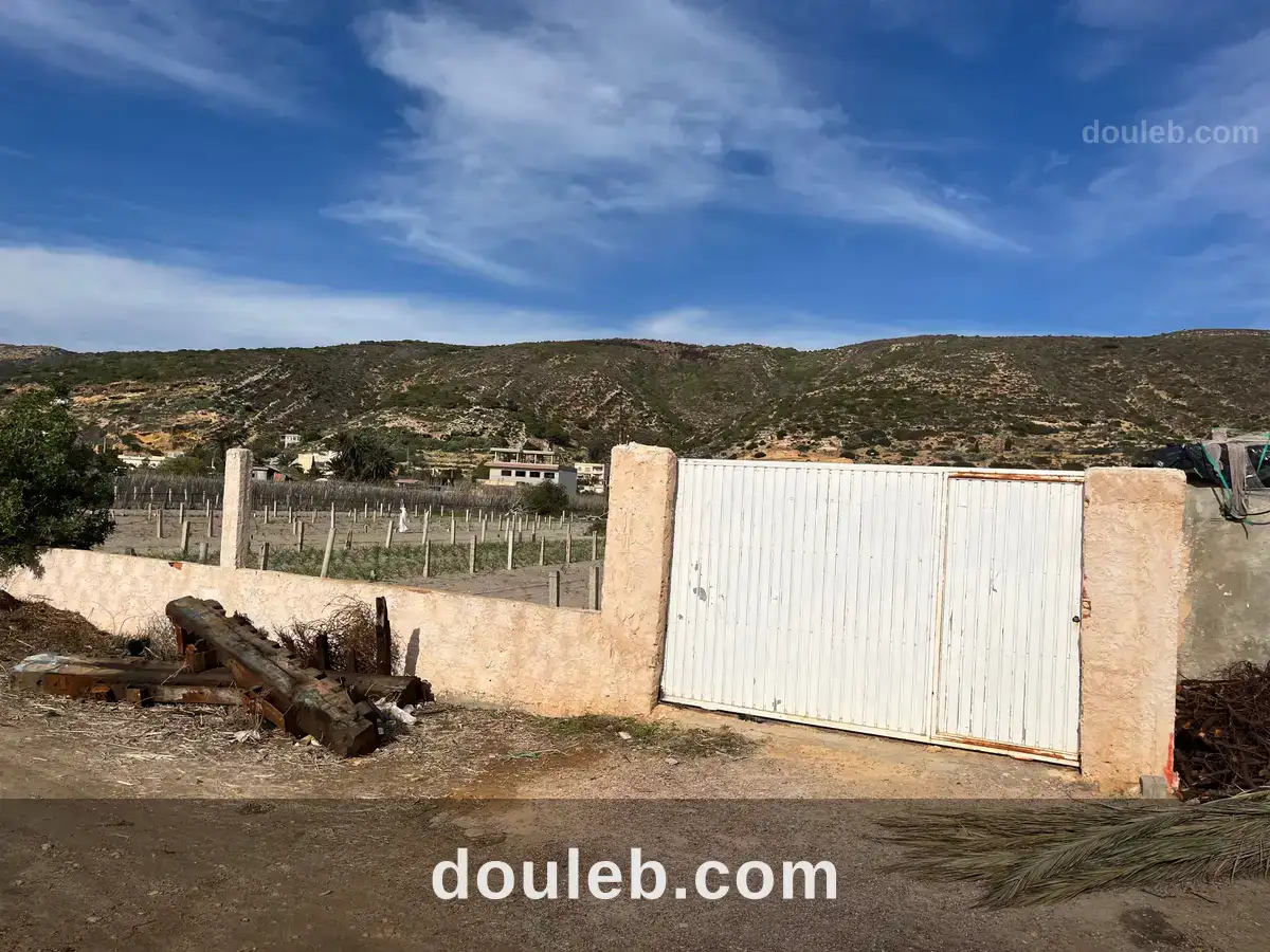 Dans la lagune de ghar el meleh - Miniature 4