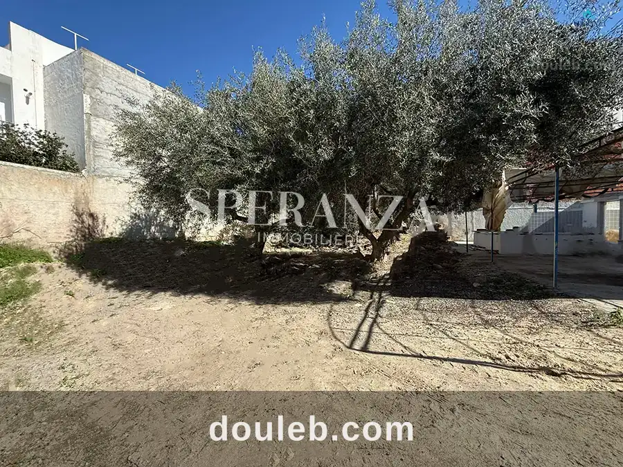 Terrain el yassamine - Miniature 2